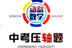 高清動態(tài)數學中考壓軸題PDF電子版